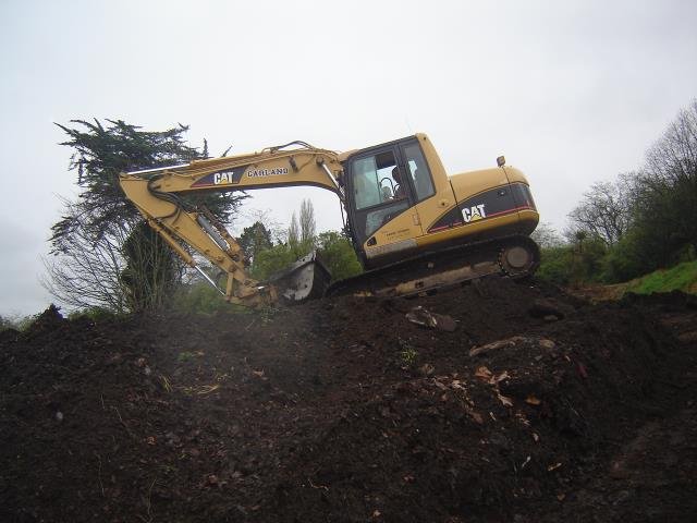 LSP- the beginning, 2008-11 Cambridge Tree Trust